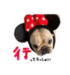フレブルの大吉くん (使いやすい敬語)（個別スタンプ：4）