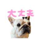 フレブルの大吉くん (使いやすい敬語)（個別スタンプ：17）