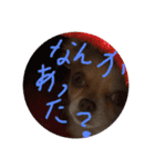 はるちゃん その十（個別スタンプ：4）