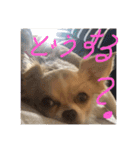 はるちゃん その十（個別スタンプ：5）