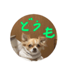 はるちゃん その十（個別スタンプ：9）