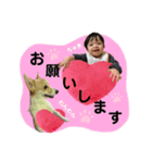 大野家スタンプ②（個別スタンプ：1）