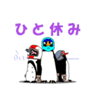 ペンギンライダー（個別スタンプ：24）