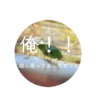 聞いてくれ！俺の主張！（個別スタンプ：1）