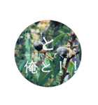 聞いてくれ！俺の主張！（個別スタンプ：5）