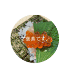 聞いてくれ！俺の主張！（個別スタンプ：9）