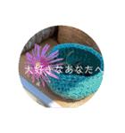 聞いてくれ！俺の主張！（個別スタンプ：12）