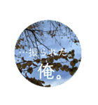 聞いてくれ！俺の主張！（個別スタンプ：13）