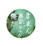 聞いてくれ！俺の主張！（個別スタンプ：19）