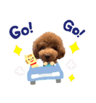 使える可愛いトイプードル♡ ロージーTV ③（個別スタンプ：30）