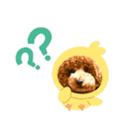 最高級ボーイこうちゃん（個別スタンプ：2）