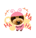 最高級ボーイこうちゃん（個別スタンプ：3）