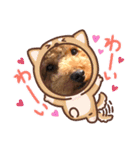 最高級ボーイこうちゃん（個別スタンプ：4）