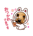 最高級ボーイこうちゃん（個別スタンプ：7）