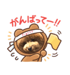 最高級ボーイこうちゃん（個別スタンプ：14）