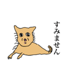 毎日使える☆犬のスタンプ（個別スタンプ：6）