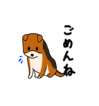 雑種犬タケちゃん（個別スタンプ：23）