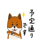 雑種犬タケちゃん（個別スタンプ：36）