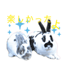 MINIREXのぷっちょ（個別スタンプ：18）