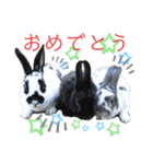 MINIREXのぷっちょ（個別スタンプ：22）