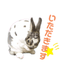 MINIREXのぷっちょ（個別スタンプ：23）