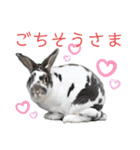 MINIREXのぷっちょ（個別スタンプ：24）