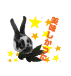 MINIREXのぷっちょ（個別スタンプ：25）