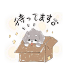 ⭐︎いとしのシュナくん⭐︎（個別スタンプ：31）