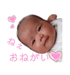 いのことスタンプ1（個別スタンプ：13）