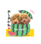 【イベントver】トイプードルのプルミエ（個別スタンプ：14）