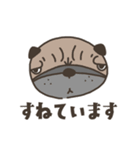 ふき犬。（個別スタンプ：26）