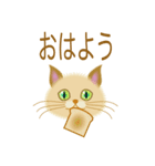 目の綺麗な猫（個別スタンプ：1）