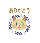 目の綺麗な猫（個別スタンプ：21）