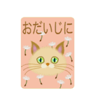 目の綺麗な猫（個別スタンプ：38）