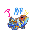 海水魚っていいな（個別スタンプ：28）