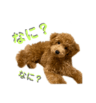 ROBのひとりごと（個別スタンプ：4）