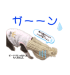 ちくわちゃん♡スタンプ（個別スタンプ：4）