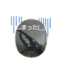 ヘラヘラ君（個別スタンプ：3）