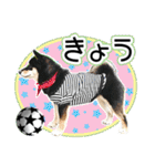 黒柴犬の♡サッカー応援♡スタンプ02（個別スタンプ：3）