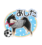 黒柴犬の♡サッカー応援♡スタンプ02（個別スタンプ：4）