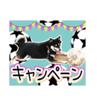 黒柴犬の♡サッカー応援♡スタンプ02（個別スタンプ：25）