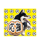 黒柴犬の♡サッカー応援♡スタンプ02（個別スタンプ：26）