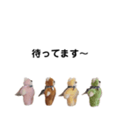 くま達のつぶやき（個別スタンプ：9）