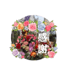 応援☆（個別スタンプ：8）