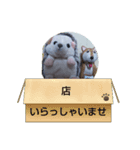 宜しく、（個別スタンプ：4）