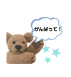 ぬいぐるみくまスタンプ（個別スタンプ：13）