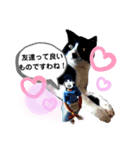 良子でございます（個別スタンプ：4）