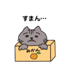 うちのこじじろうの日常（個別スタンプ：36）