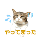 ごえもん日和 10（個別スタンプ：5）