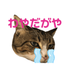 ごえもん日和 10（個別スタンプ：8）